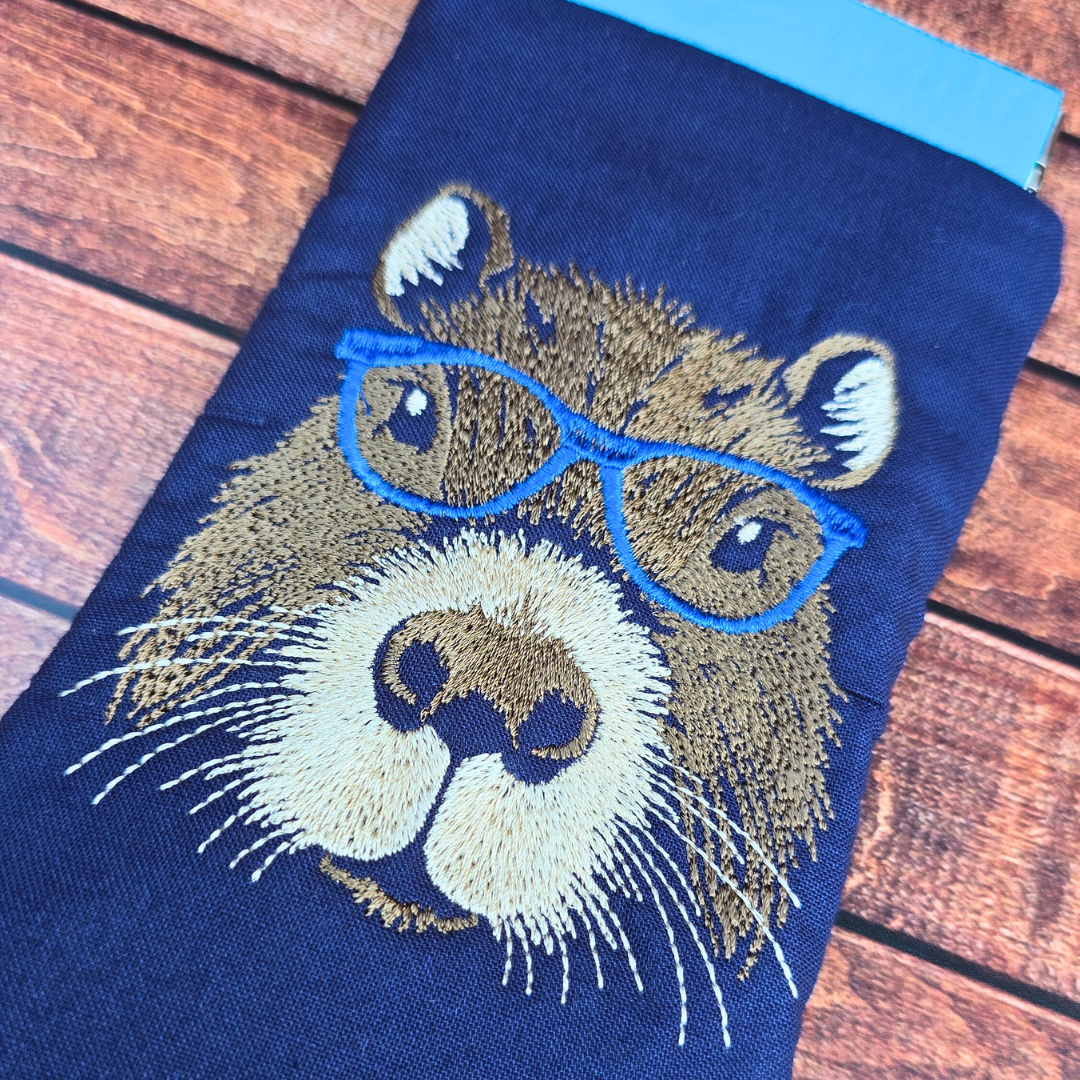 Glasses Cases