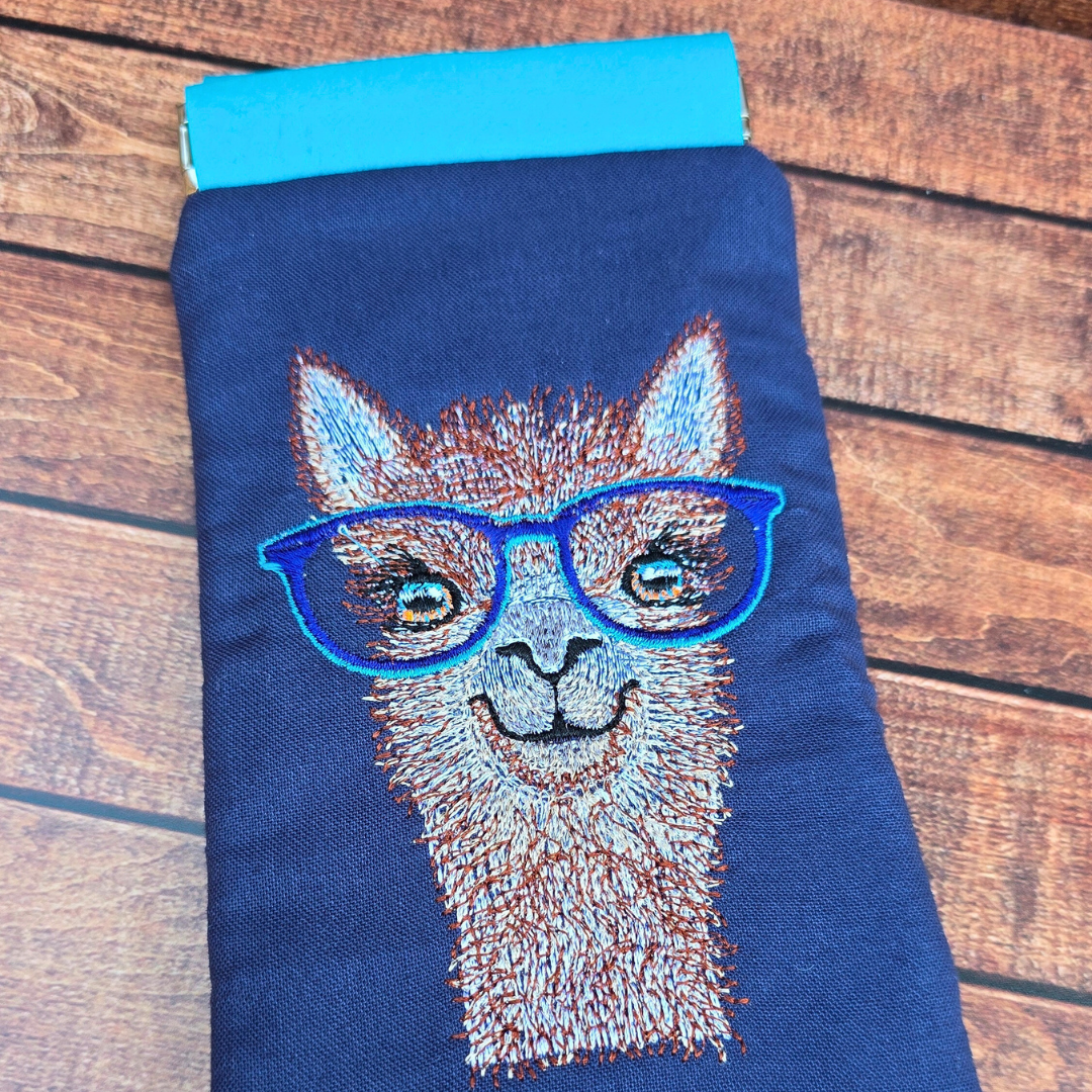 Glasses Cases