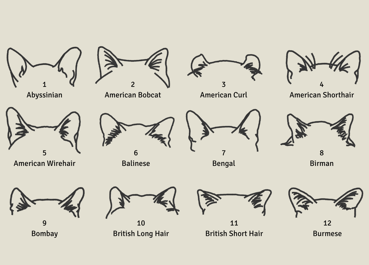 Personalised Cat Ears | Embroidered Tote Bag