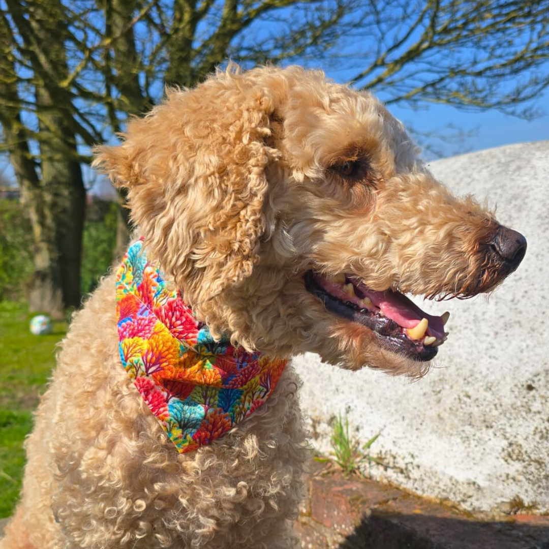 Reversable Dog Bandanas