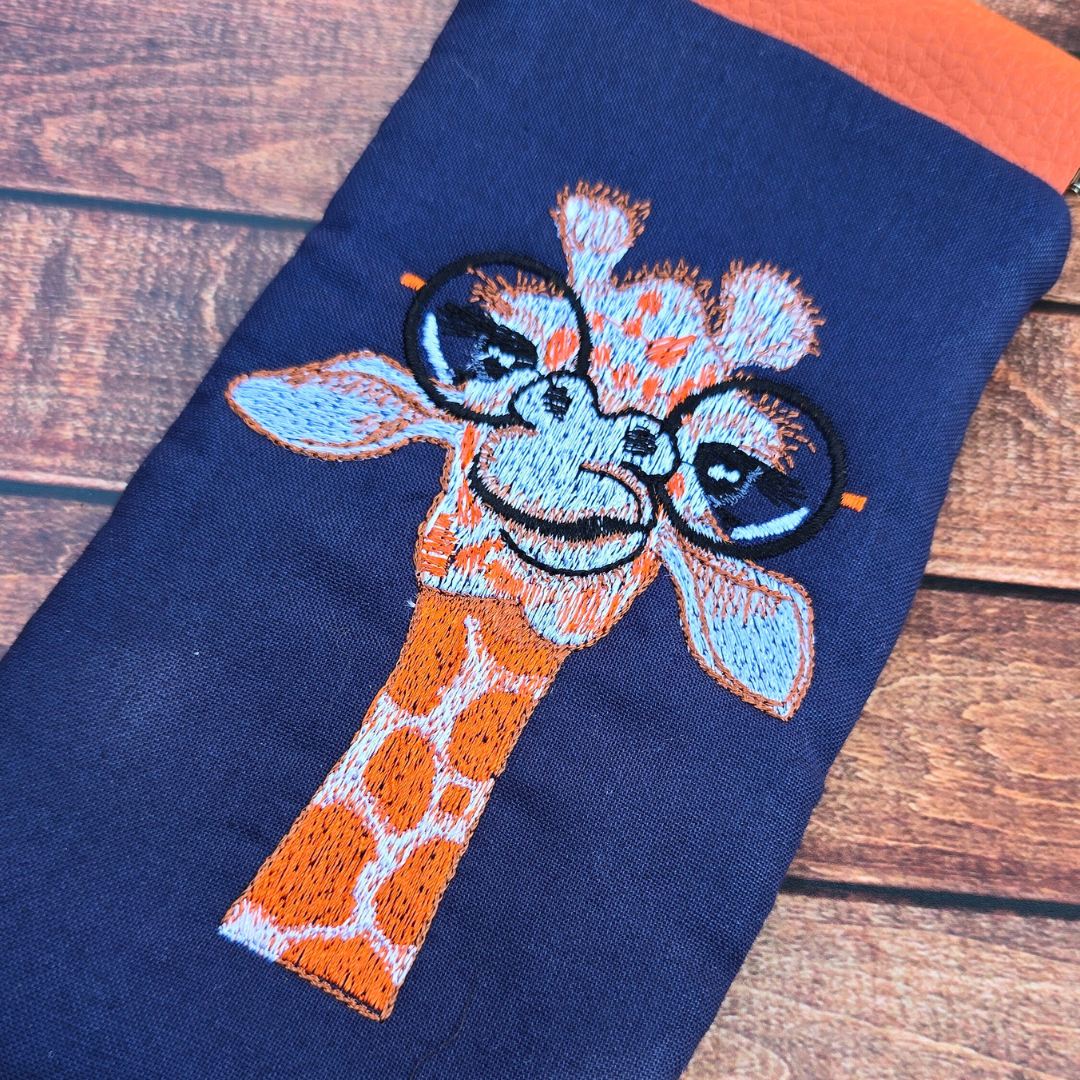 Glasses Cases