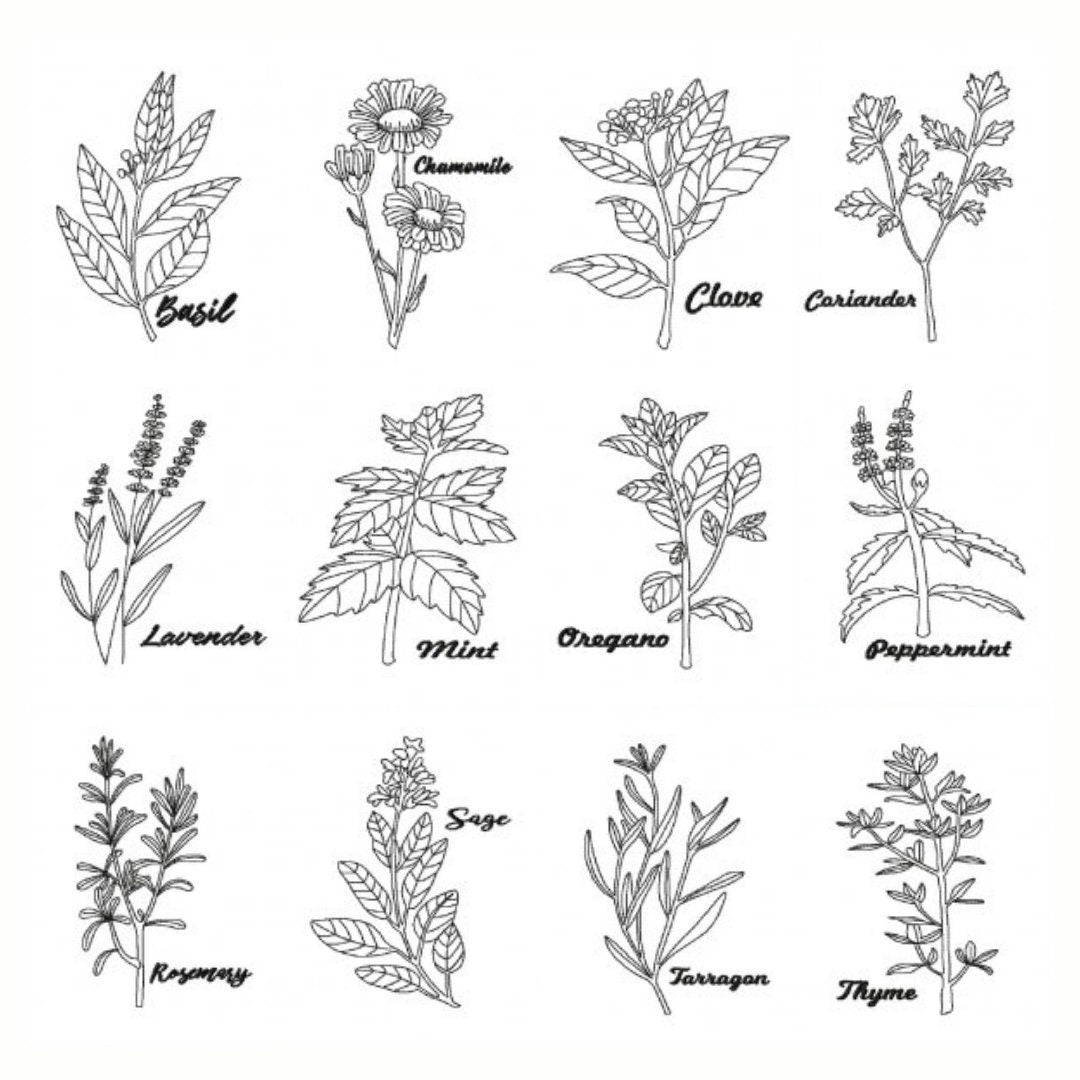 Line Art Botanical Herb | Embroidered Tote Bag