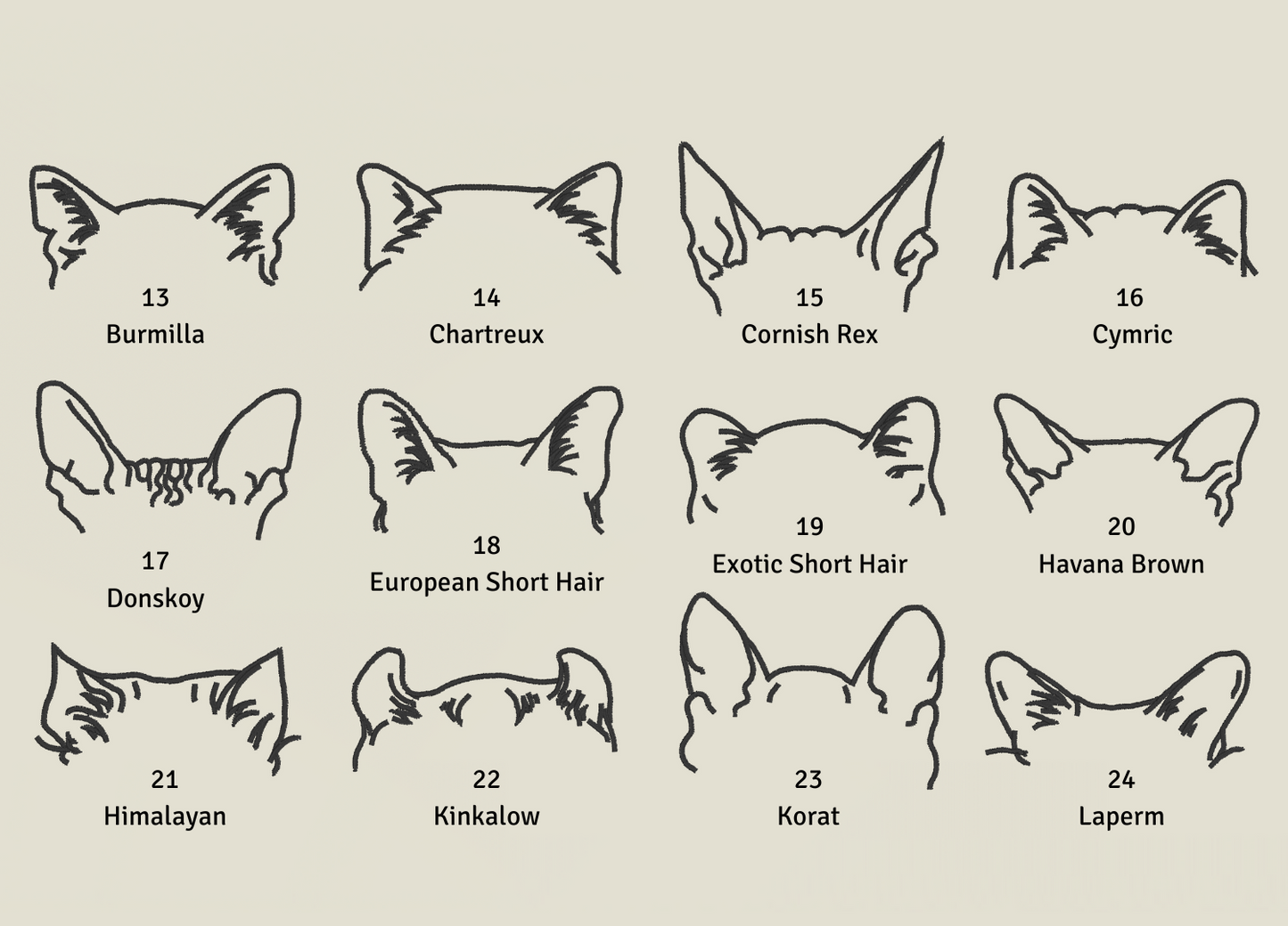 Personalised Cat Ears | Embroidered Tote Bag