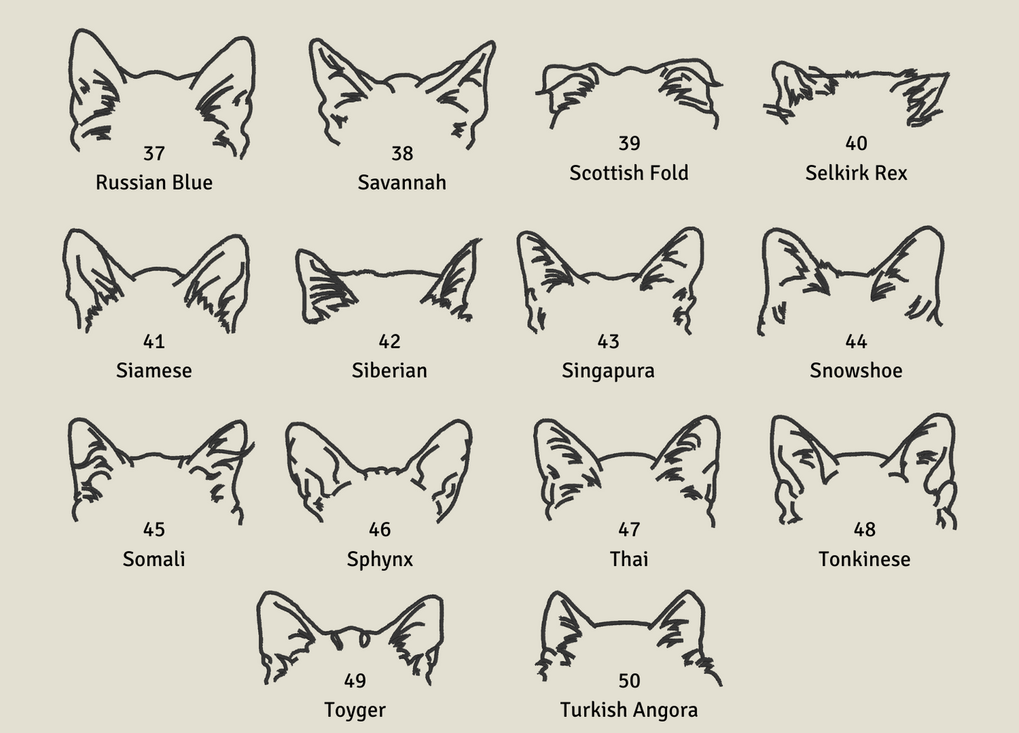Personalised Cat Ears | Embroidered Tote Bag